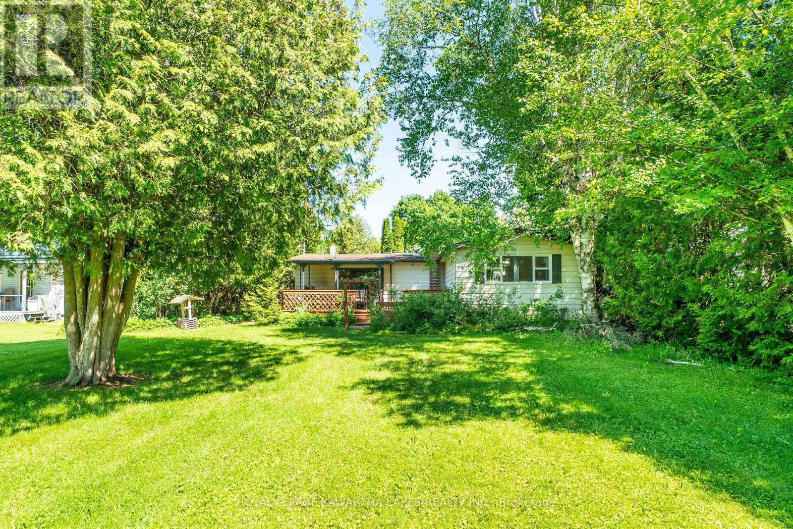 159 Mcguire Beach Road, Kawartha Lakes, Ontario  K0M 2B0 - Photo 6 - X9295808