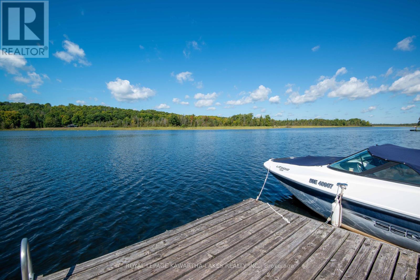 34 Deweys Island, Kawartha Lakes, Ontario  K0M 1N0 - Photo 24 - X9343972