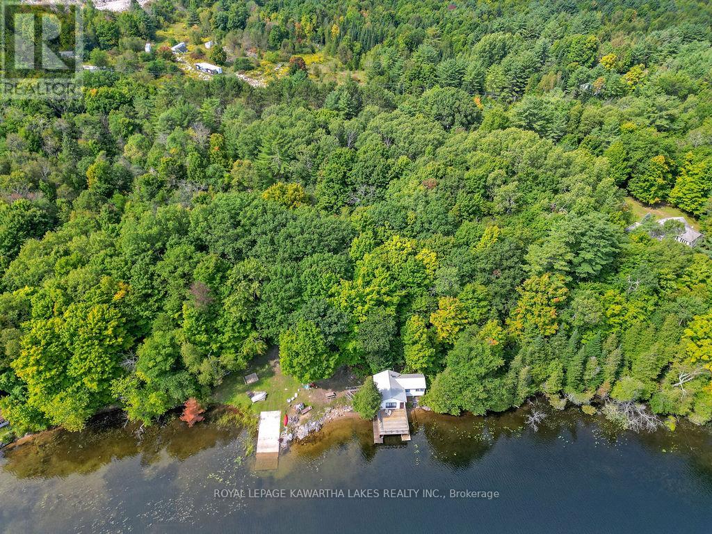 7190 Hwy 35 Road N, Kawartha Lakes, Ontario  K0M 1K0 - Photo 3 - X9348965