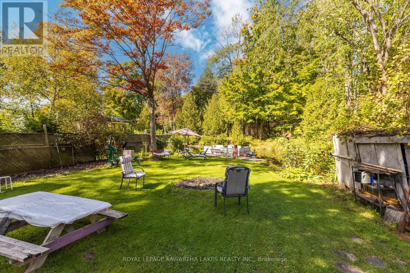 31 Jubbs Shore Road, Kawartha Lakes, Ontario  K0M 1N0 - Photo 26 - X9373020