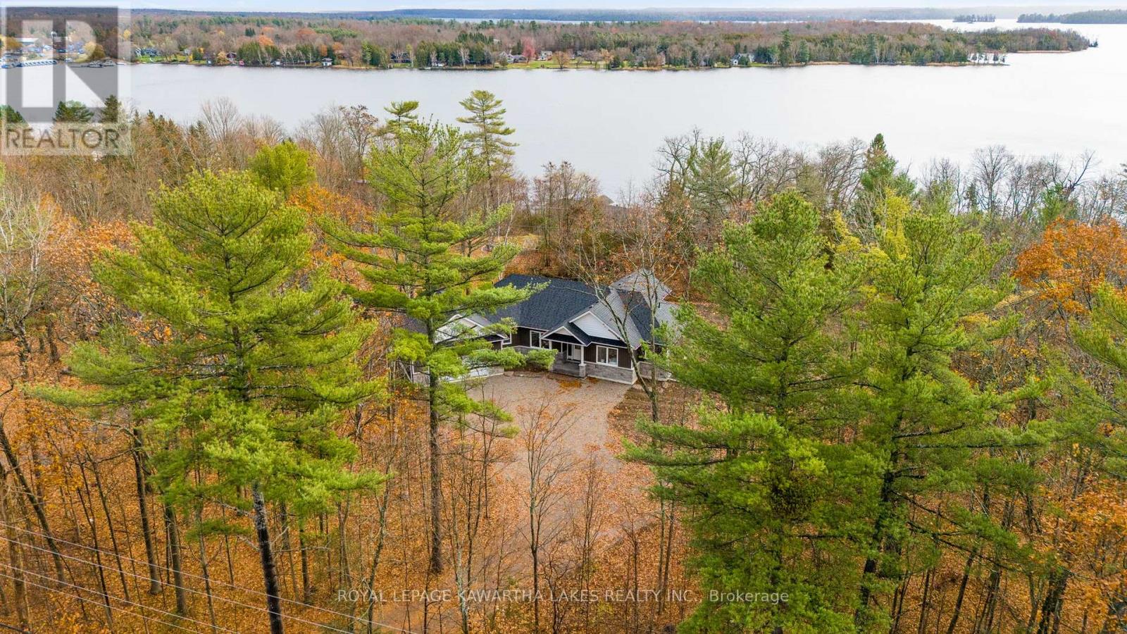 380 Highway 36, Kawartha Lakes, Ontario  K0M 1A0 - Photo 3 - X11908073