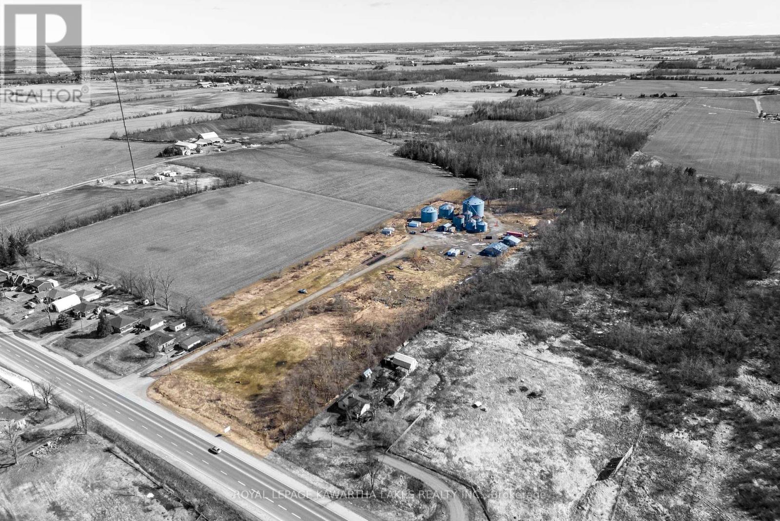 2788 Hwy 35, Kawartha Lakes, Ontario  K9V 4R4 - Photo 7 - X12063492