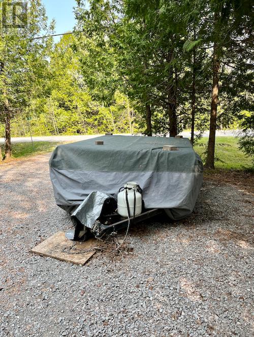 81 Mcguire Beach Road, Kawartha Lakes, Ontario  K0M 2B0 - Photo 36 - X12127841