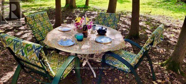 81 Mcguire Beach Road, Kawartha Lakes, Ontario  K0M 2B0 - Photo 39 - X12127841