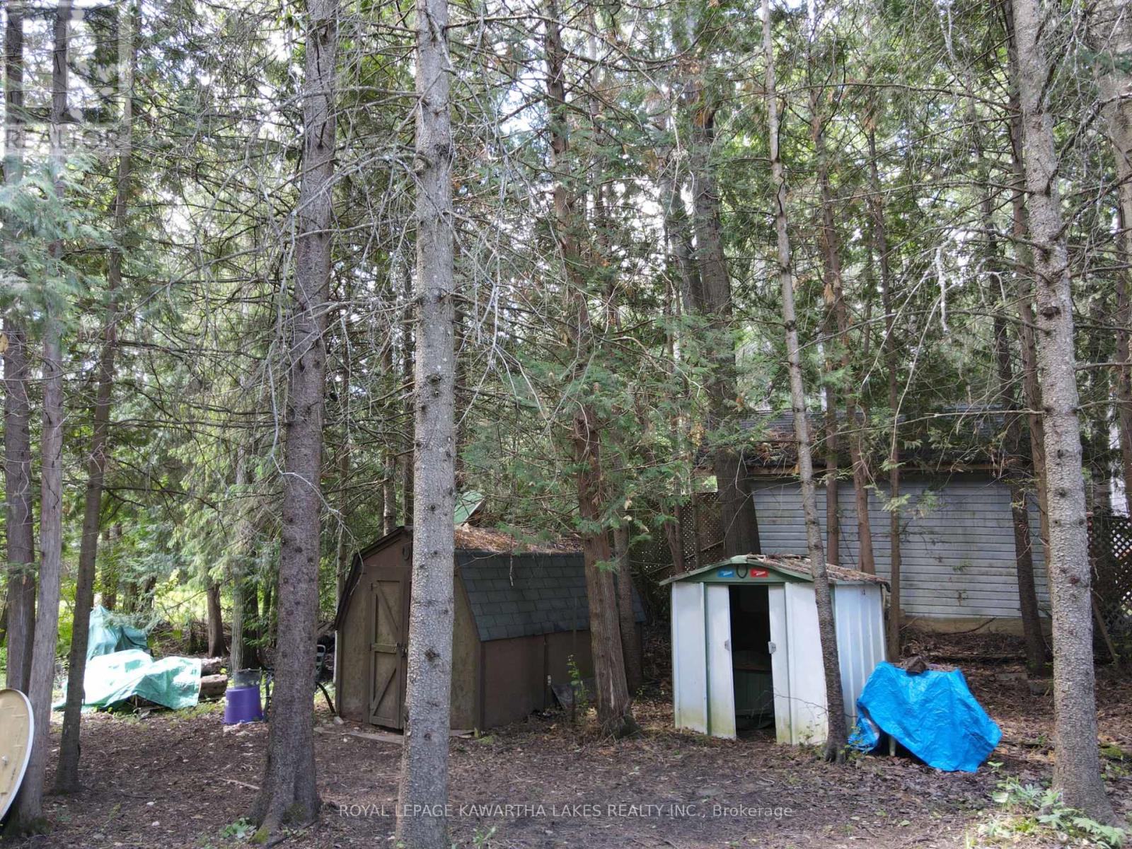 81 Mcguire Beach Road, Kawartha Lakes, Ontario  K0M 2B0 - Photo 43 - X12127841