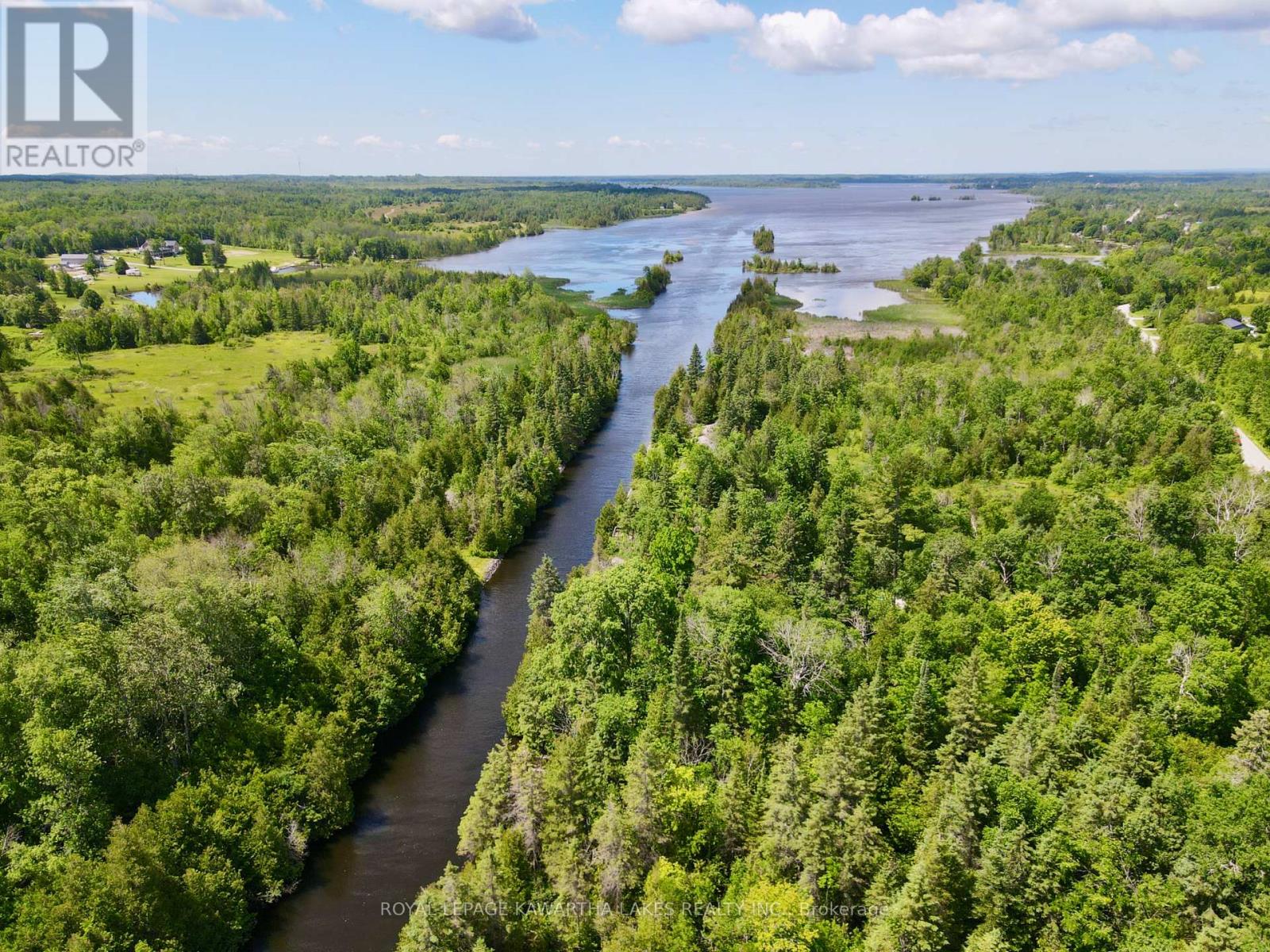 81 Mcguire Beach Road, Kawartha Lakes, Ontario  K0M 2B0 - Photo 48 - X12127841