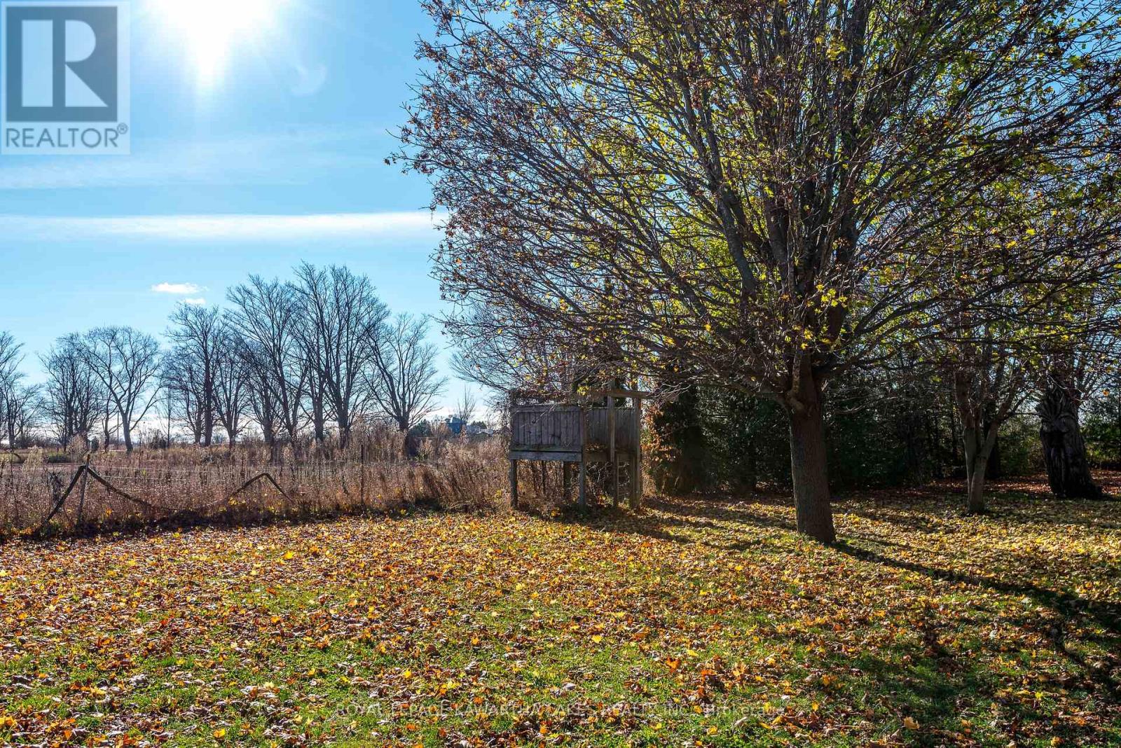 178 Grasshill Road, Kawartha Lakes, Ontario  K0M 2T0 - Photo 35 - X12154957