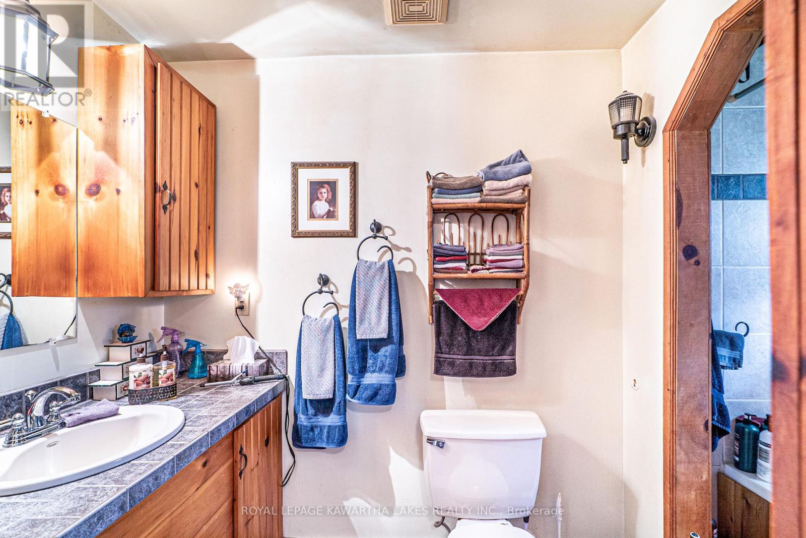 265 Cameron Street E, Brock, Ontario  L0E 1E0 - Photo 17 - N12165261