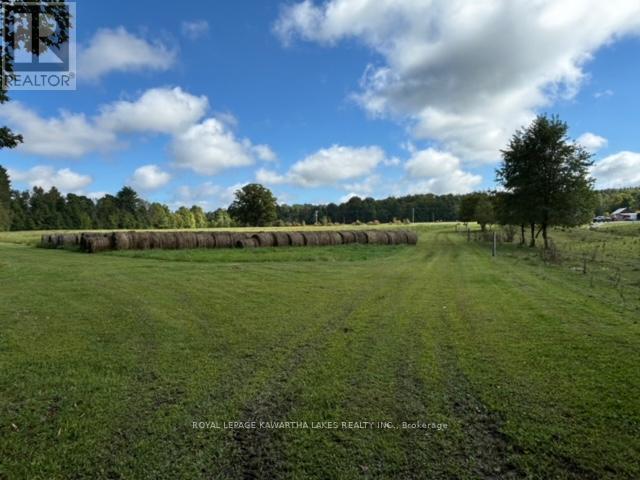 2433 County Road 121 Road, Kawartha Lakes, Ontario  K0M 1C0 - Photo 35 - X12194367