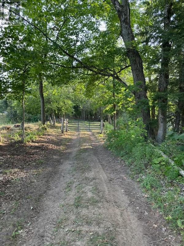 2433 County Road 121 Road, Kawartha Lakes, Ontario  K0M 1C0 - Photo 41 - X12194367