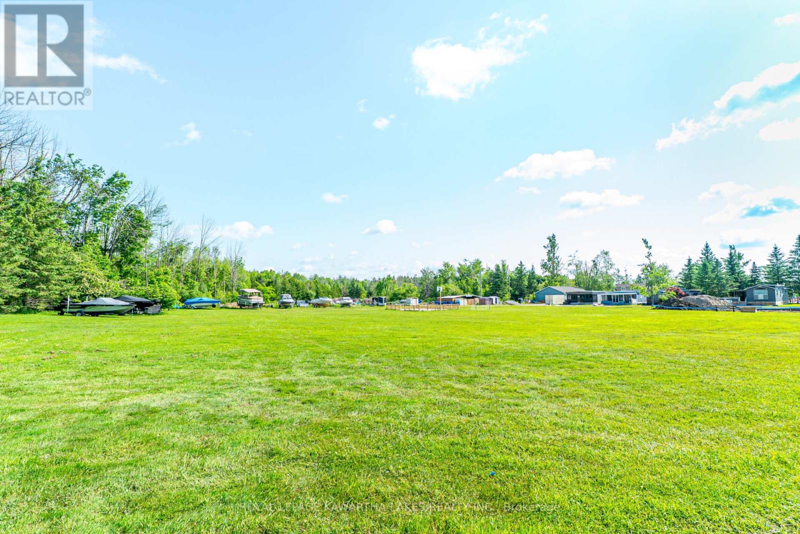 46 Alpine Street, Kawartha Lakes, Ontario  K9V 4R1 - Photo 13 - X12223796