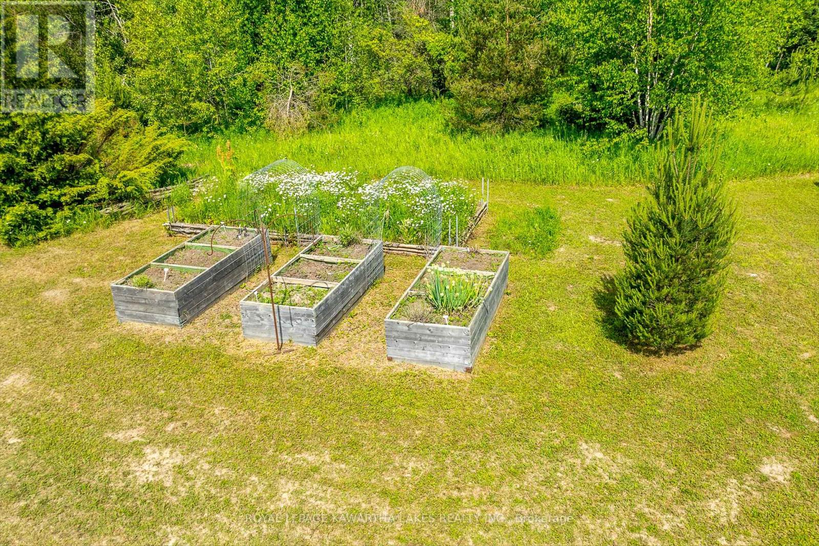 563 Heights Road, Kawartha Lakes, Ontario  K0L 2X0 - Photo 33 - X12228457