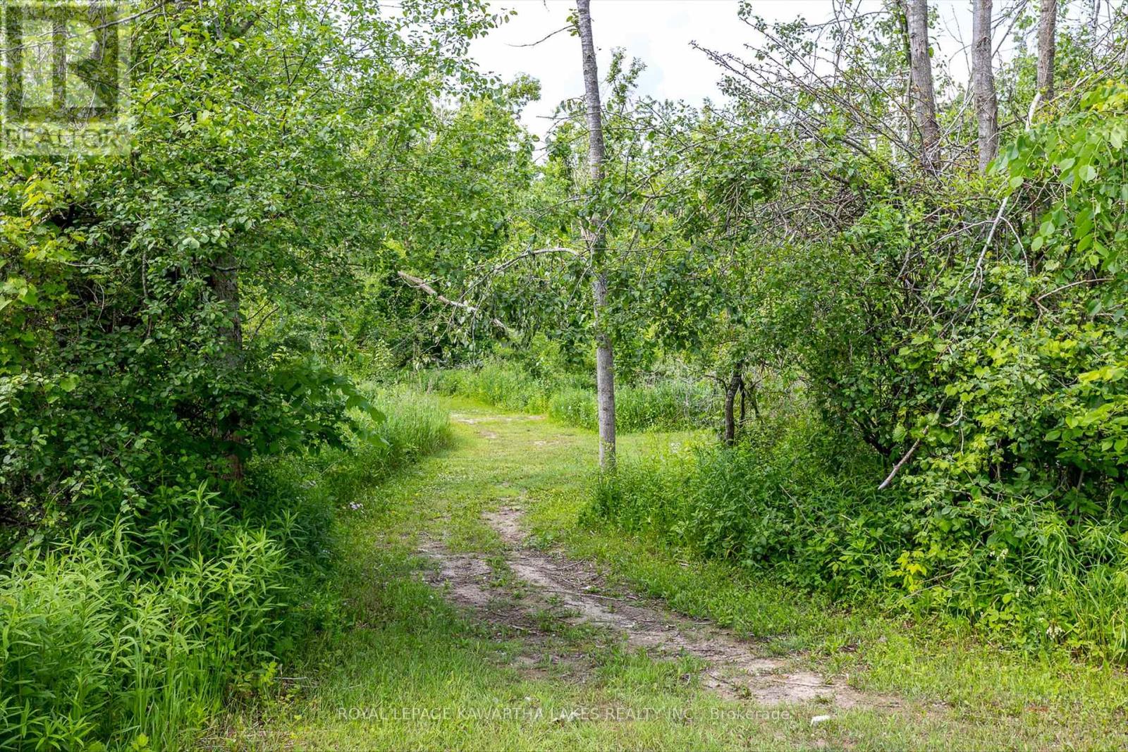 563 Heights Road, Kawartha Lakes, Ontario  K0L 2X0 - Photo 41 - X12228457