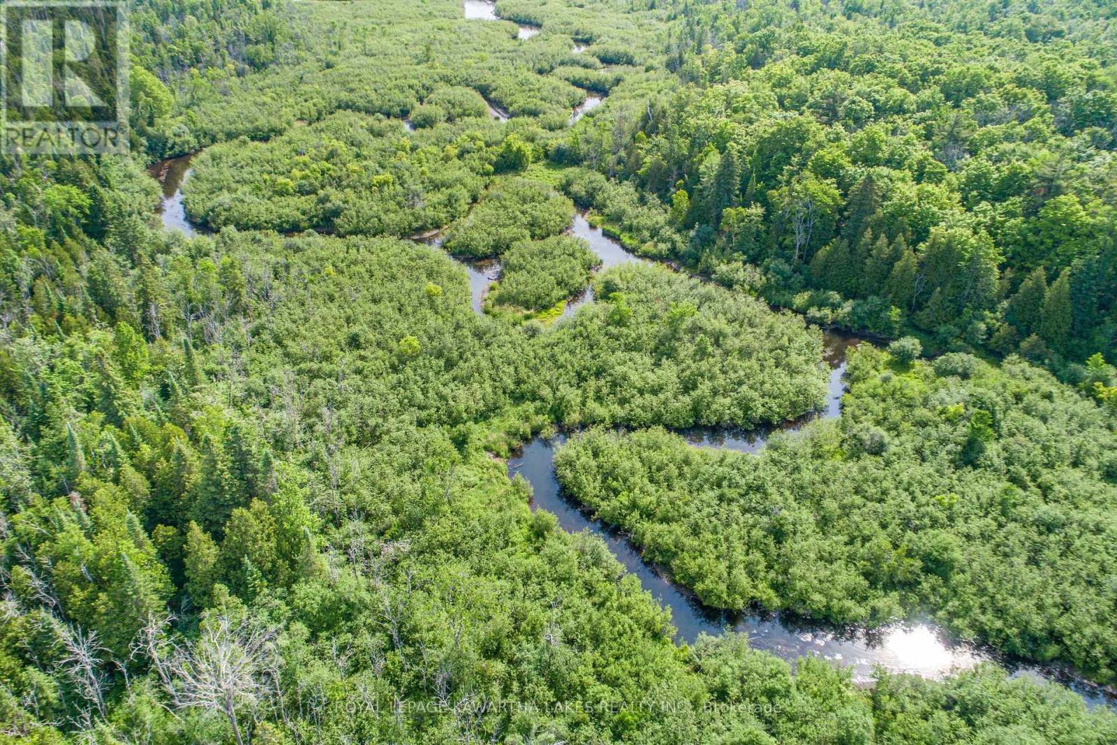 1752 Highway 35 S, Kawartha Lakes, Ontario  L0B 1K0 - Photo 42 - X12236523