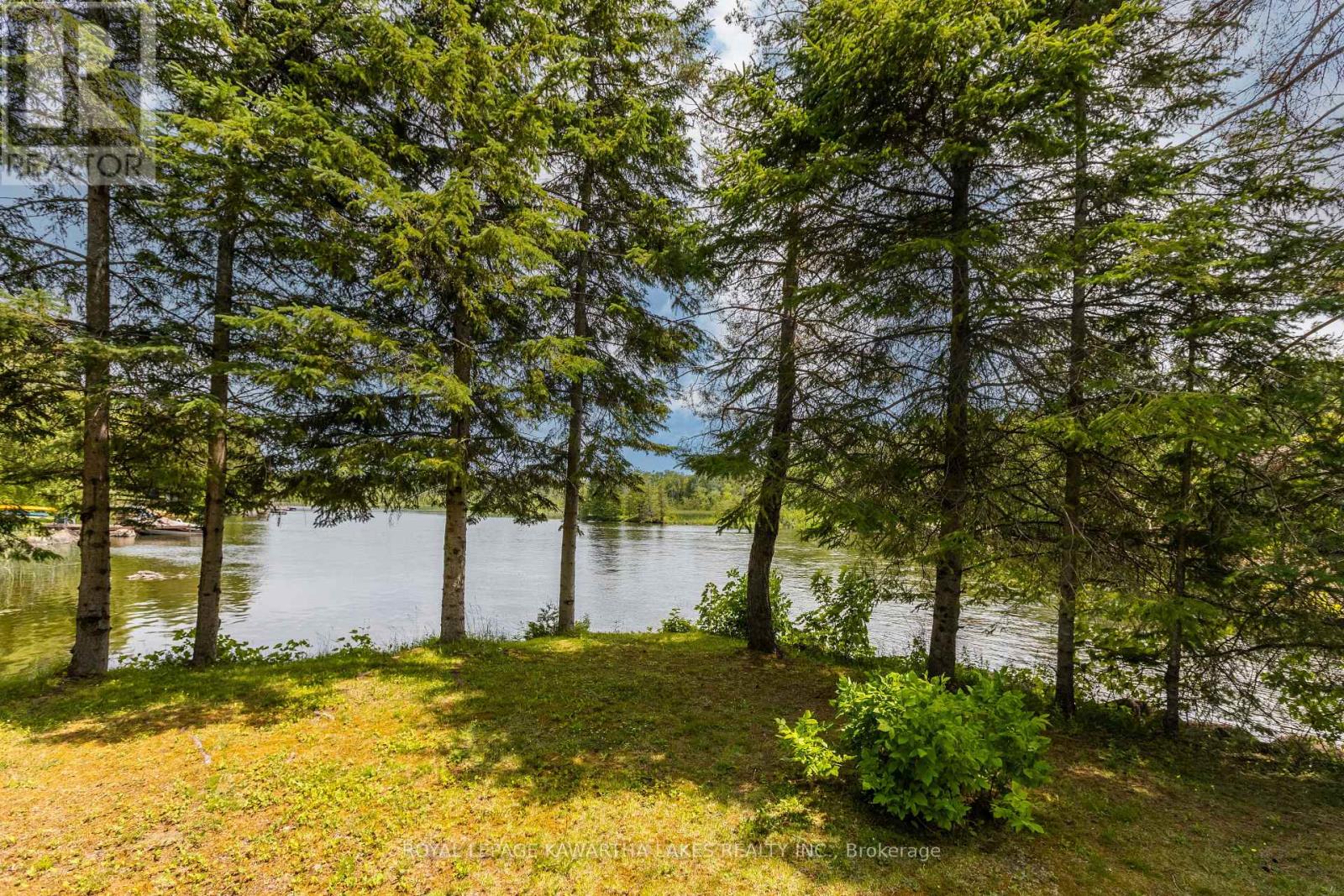 94 Coldstream Road, Kawartha Lakes, Ontario  K0M 1N0 - Photo 32 - X12258301