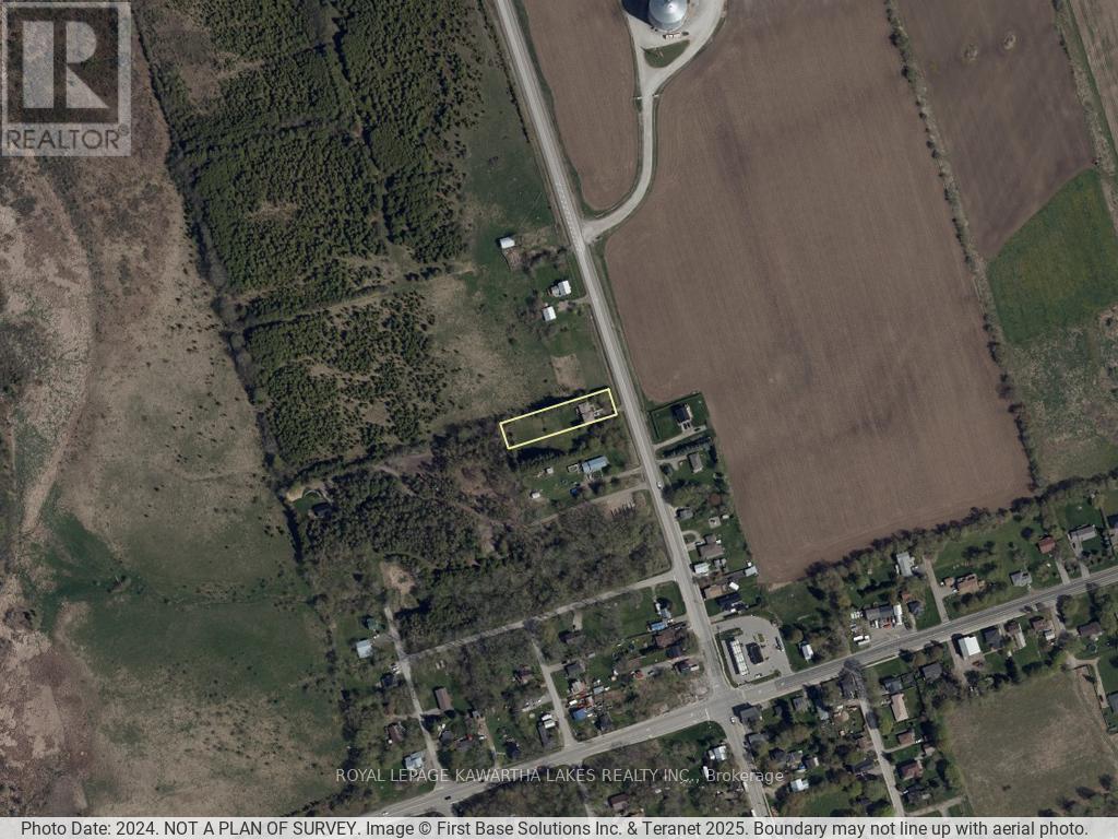 17290 Simcoe Street, Kawartha Lakes, Ontario  K0M 2J0 - Photo 21 - X12275528