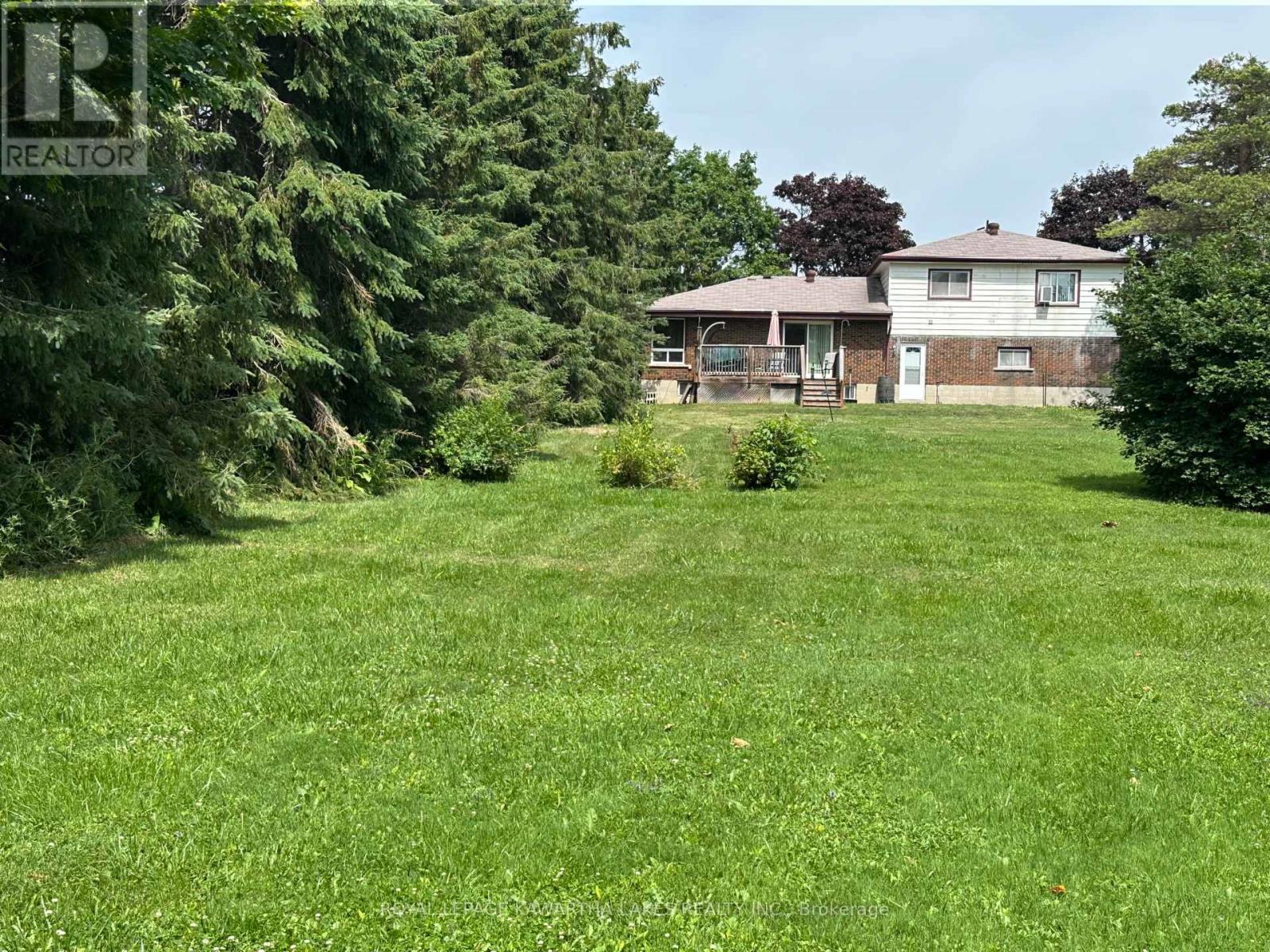 17290 Simcoe Street, Kawartha Lakes, Ontario  K0M 2J0 - Photo 5 - X12275528