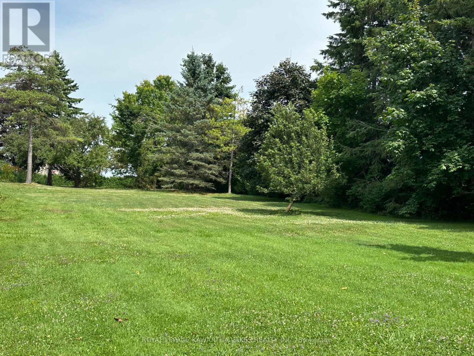 17288 Simcoe Street, Kawartha Lakes, Ontario  K0M 2J0 - Photo 4 - X12275529