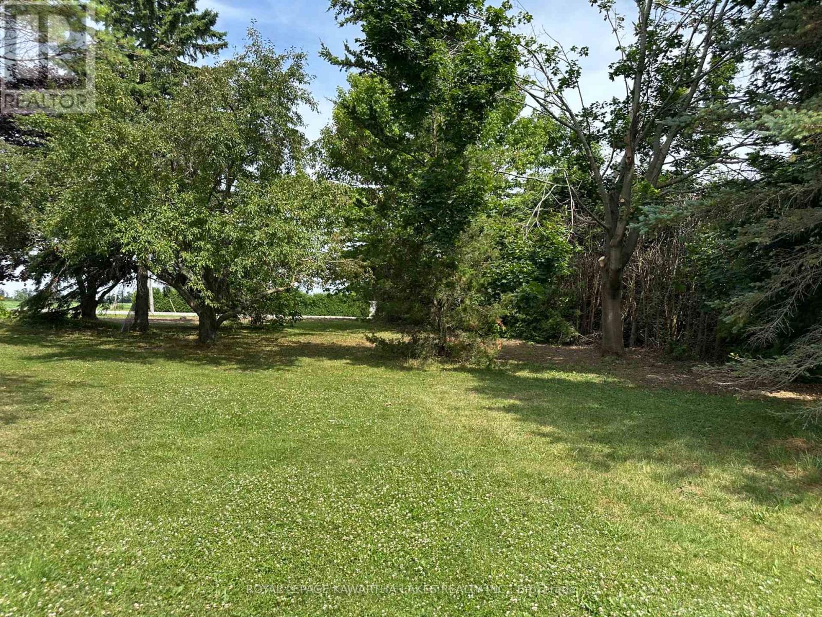 17288 Simcoe Street, Kawartha Lakes, Ontario  K0M 2J0 - Photo 5 - X12275529