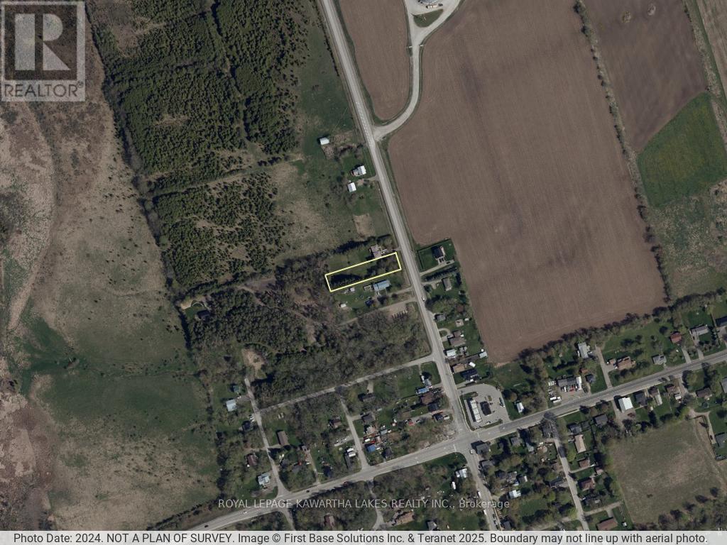 17288 Simcoe Street, Kawartha Lakes, Ontario  K0M 2J0 - Photo 8 - X12275529
