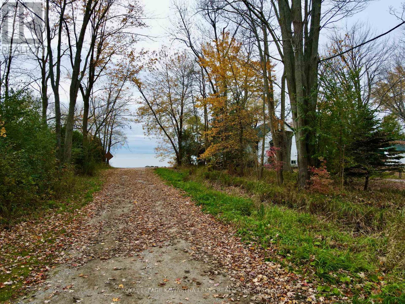 2501 Lakeshore Drive, Ramara, Ontario  L0K 1B0 - Photo 47 - S12278629