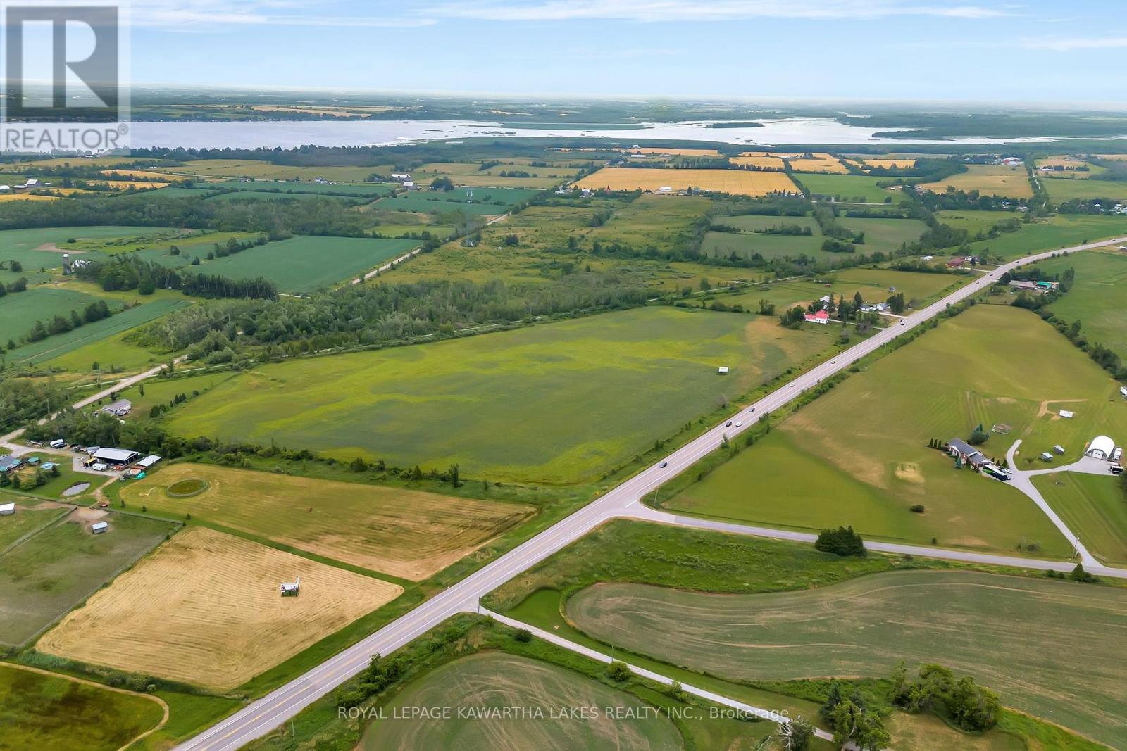 4196 35 Highway N, Kawartha Lakes, Ontario  K0M 1G0 - Photo 4 - X12279284