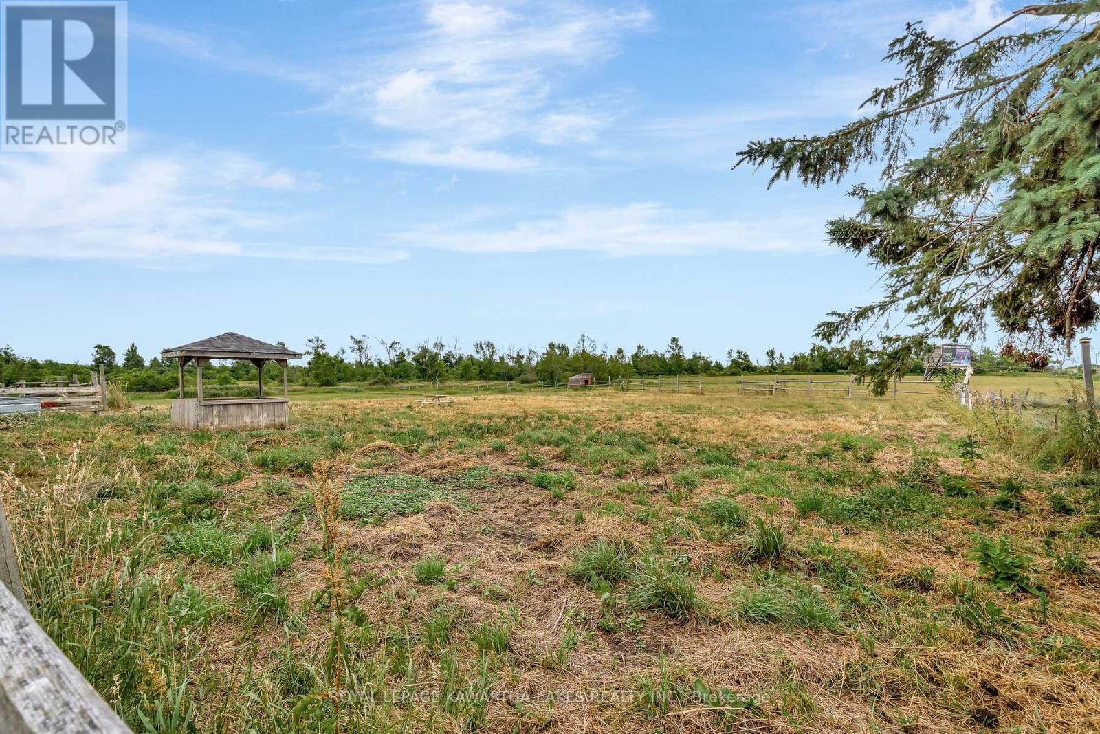 4196 35 Highway N, Kawartha Lakes, Ontario  K0M 1G0 - Photo 48 - X12279284