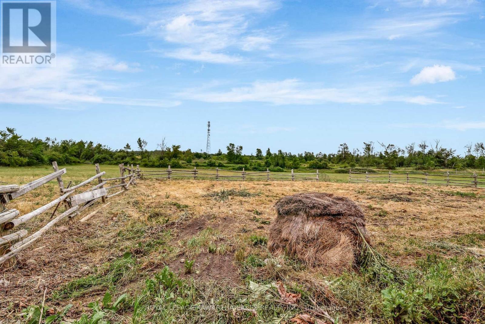 4196 35 Highway N, Kawartha Lakes, Ontario  K0M 1G0 - Photo 50 - X12279284