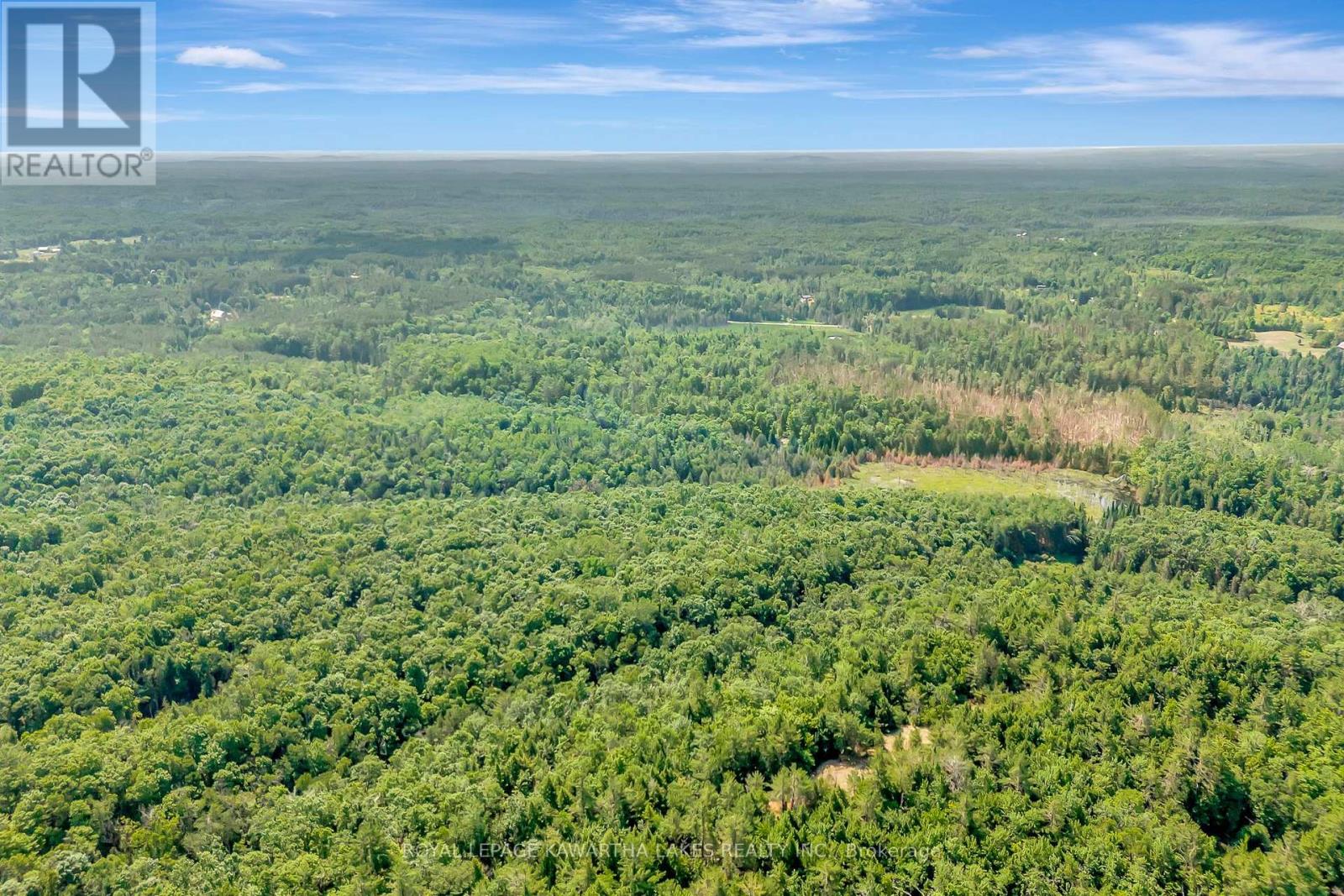 707 Galway Road, Trent Lakes, Ontario  K0M 2A0 - Photo 33 - X12288628