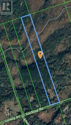 707 Galway Road, Trent Lakes, Ontario  K0M 2A0 - Photo 35 - X12288628