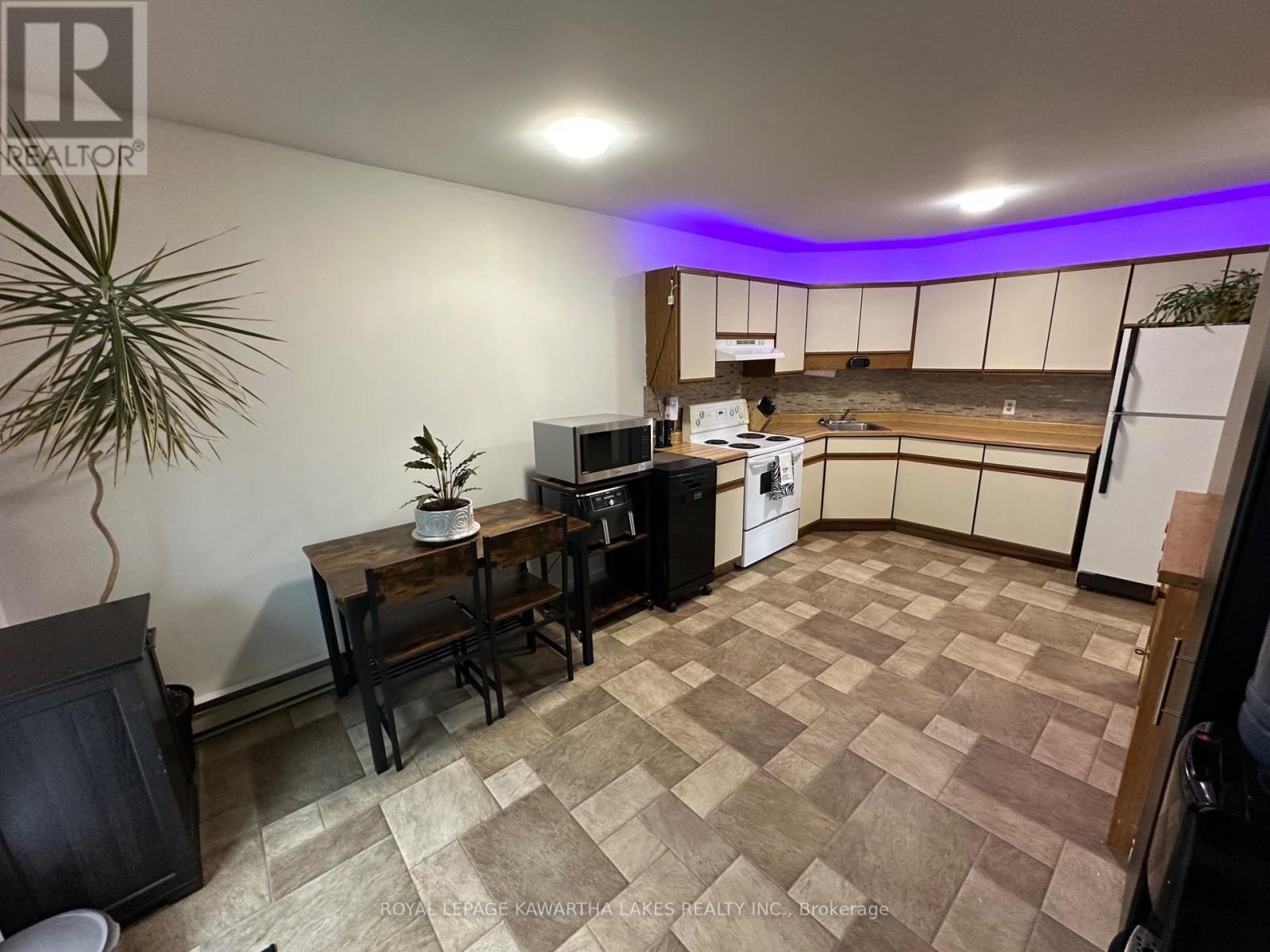 317 William Street N, Kawartha Lakes, Ontario  K9V 6A6 - Photo 13 - X12307505