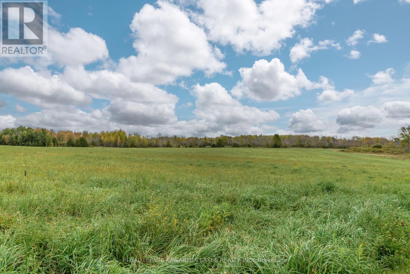 373 Cheese Factory Road, Kawartha Lakes, Ontario  K9V 4R3 - Photo 38 - X12307659