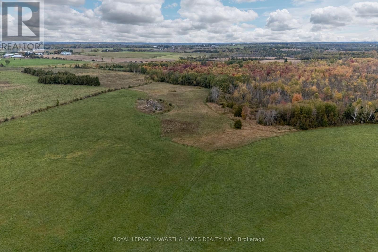 373 Cheese Factory Road, Kawartha Lakes, Ontario  K9V 4R3 - Photo 4 - X12307659