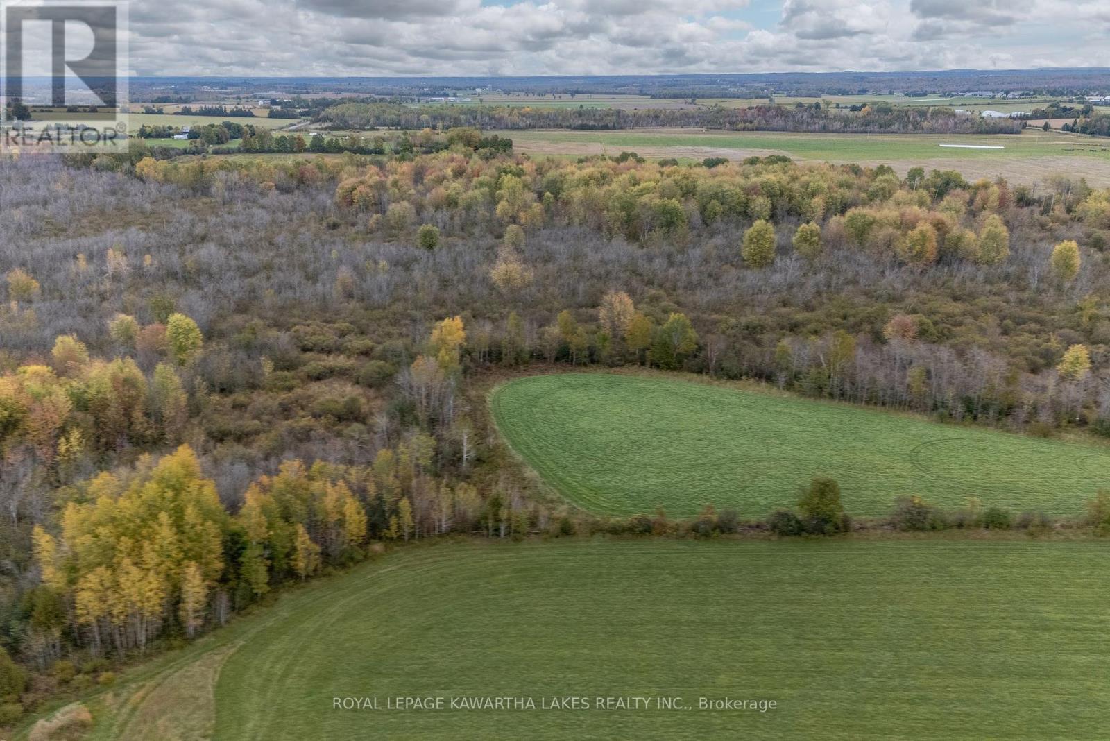 373 Cheese Factory Road, Kawartha Lakes, Ontario  K9V 4R3 - Photo 6 - X12307659