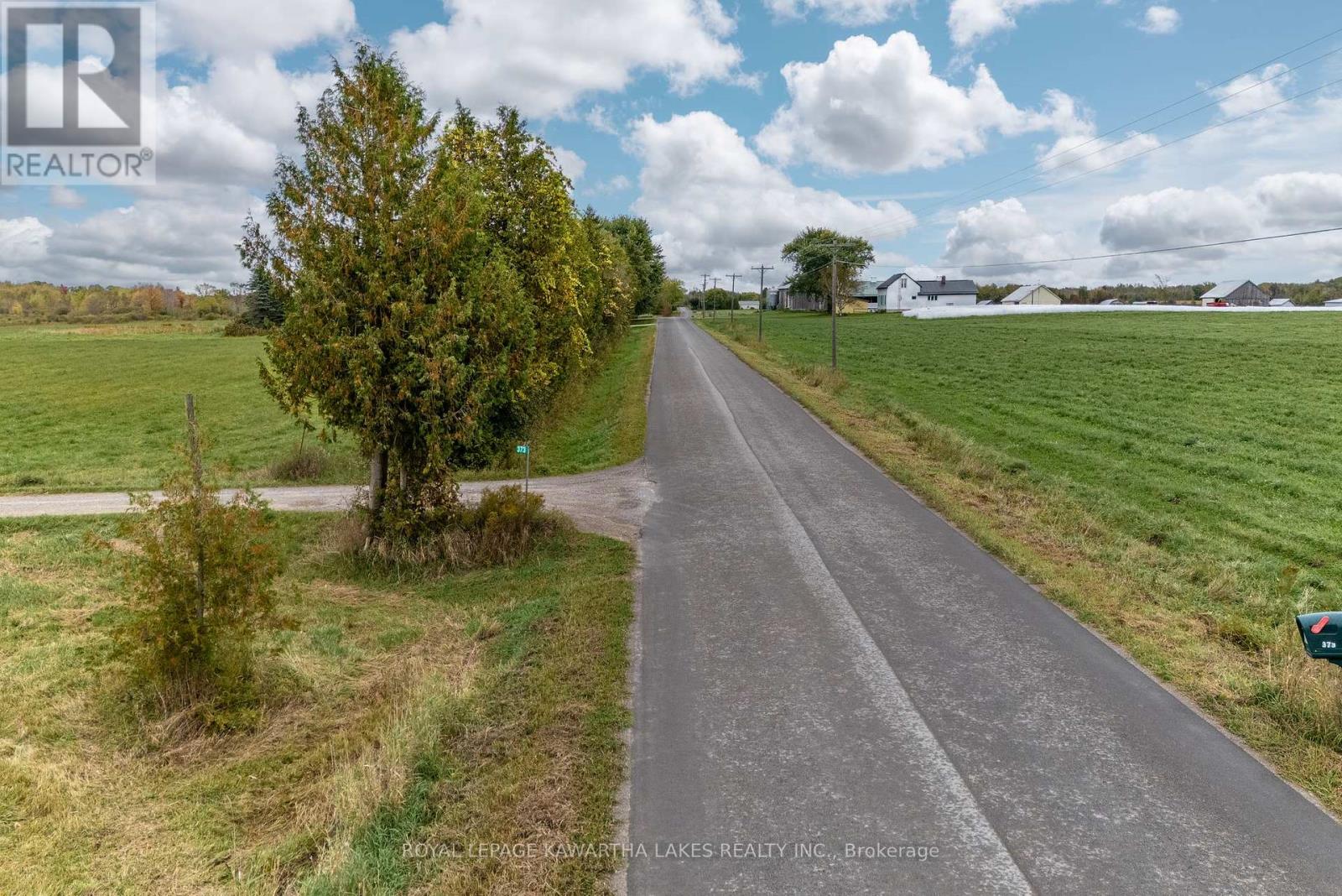 373 Cheese Factory Road, Kawartha Lakes, Ontario  K9V 4R3 - Photo 8 - X12307659