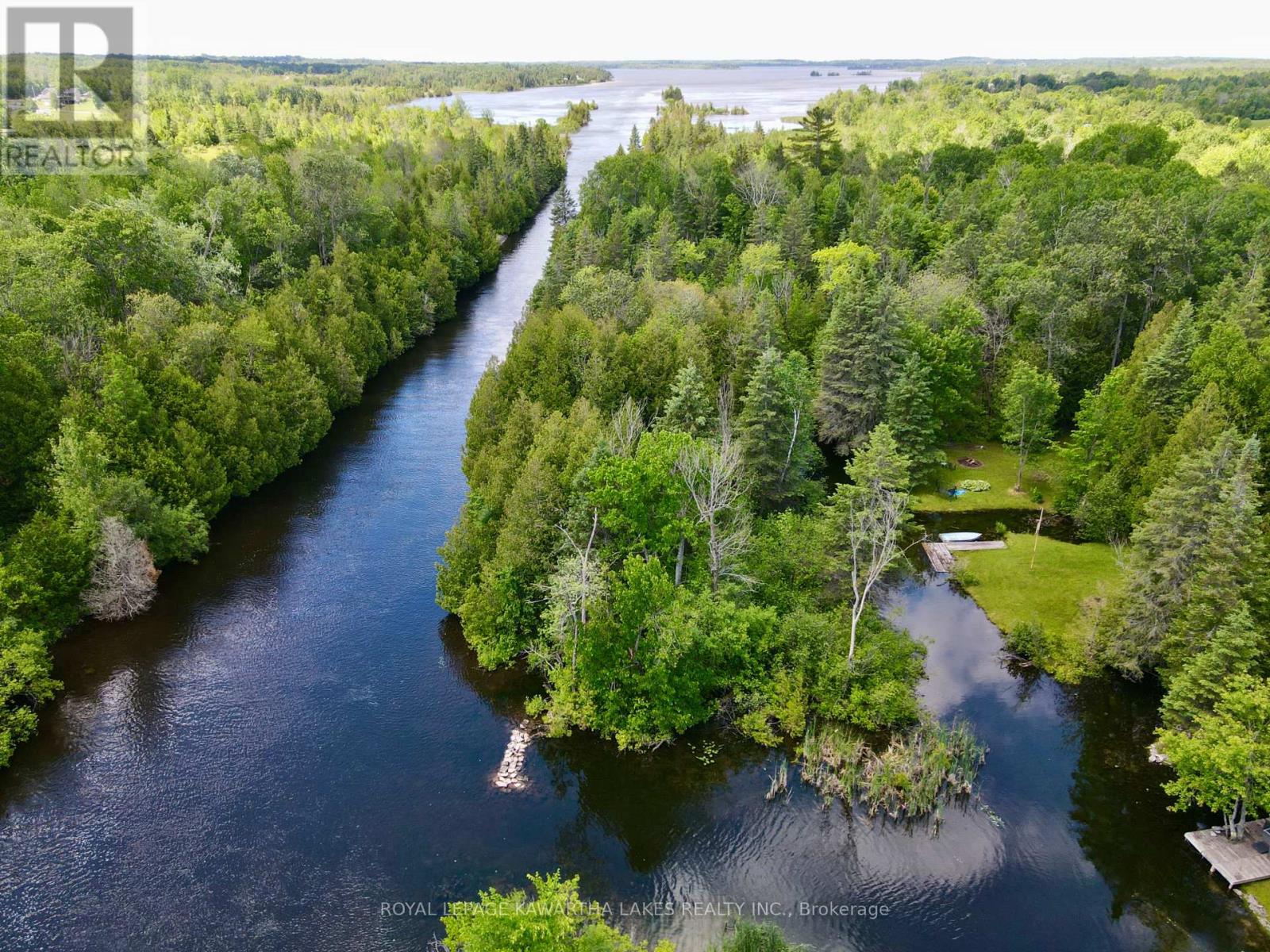 81 Mcguire Beach Road, Kawartha Lakes, Ontario  K0M 2B0 - Photo 4 - X12312657