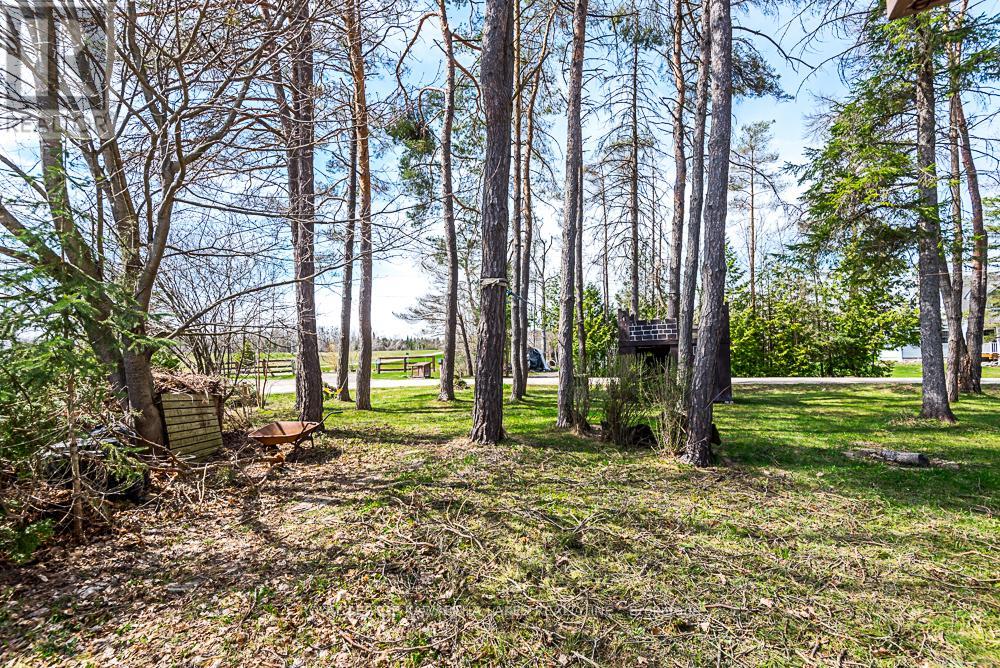 85 Thomas Drive, Kawartha Lakes, Ontario  K0M 1N0 - Photo 19 - X12333142