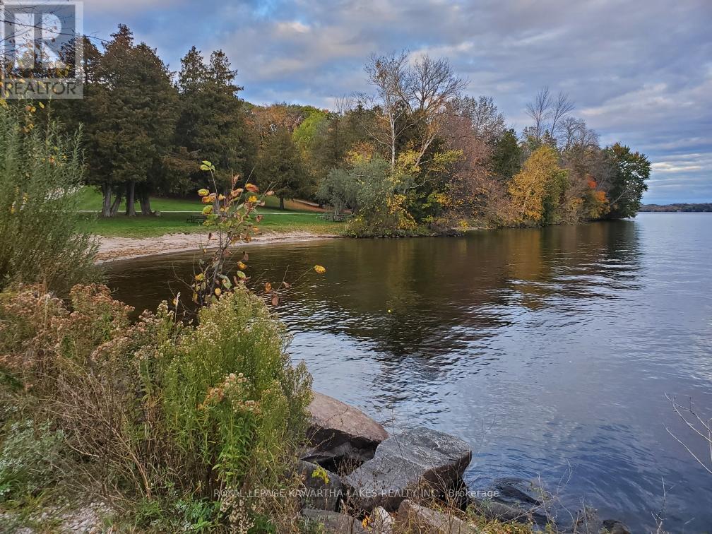 85 Thomas Drive, Kawartha Lakes, Ontario  K0M 1N0 - Photo 21 - X12333142