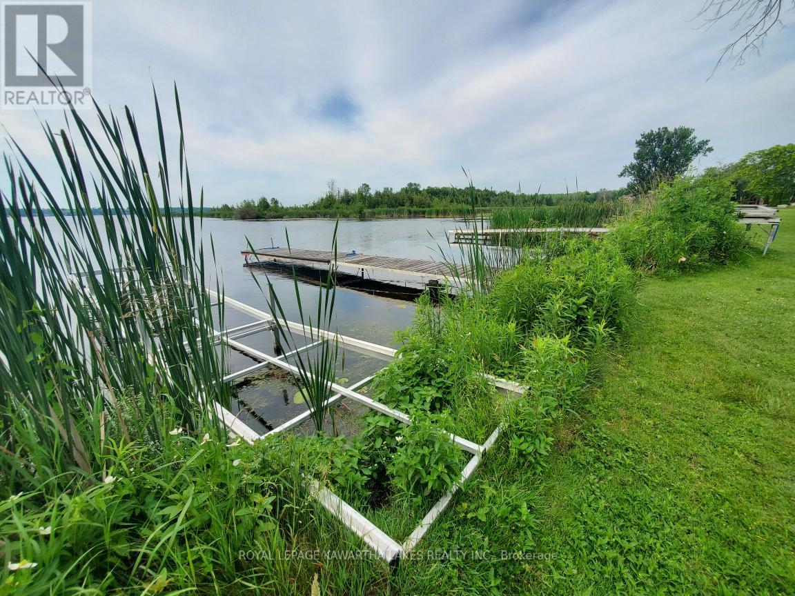 85 Thomas Drive, Kawartha Lakes, Ontario  K0M 1N0 - Photo 28 - X12333142