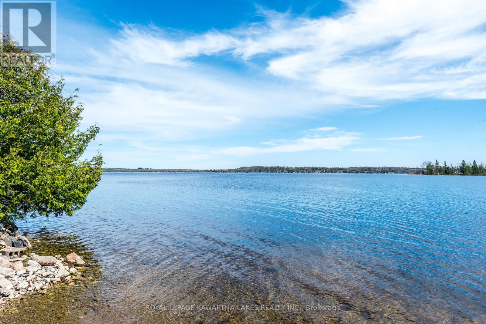 85 Thomas Drive, Kawartha Lakes, Ontario  K0M 1N0 - Photo 29 - X12333142