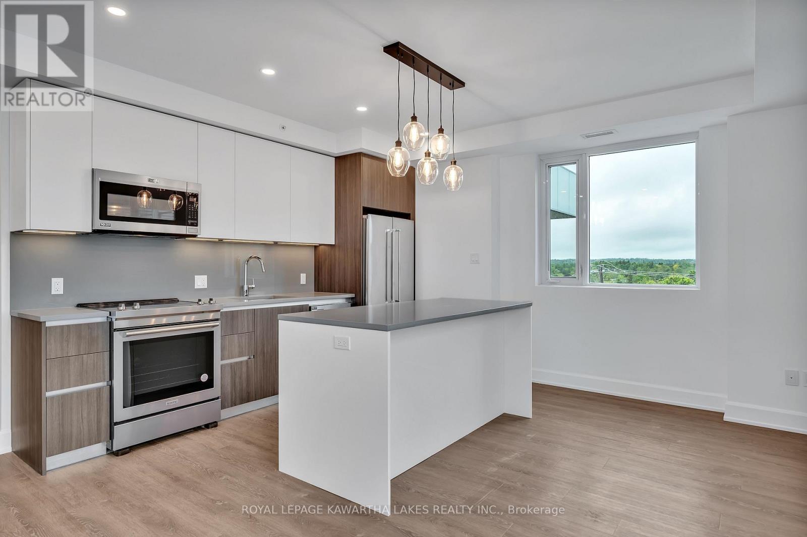 404 - 195 Hunter Street E, Peterborough East, Ontario  K9H 1G9 - Photo 6 - X12337737