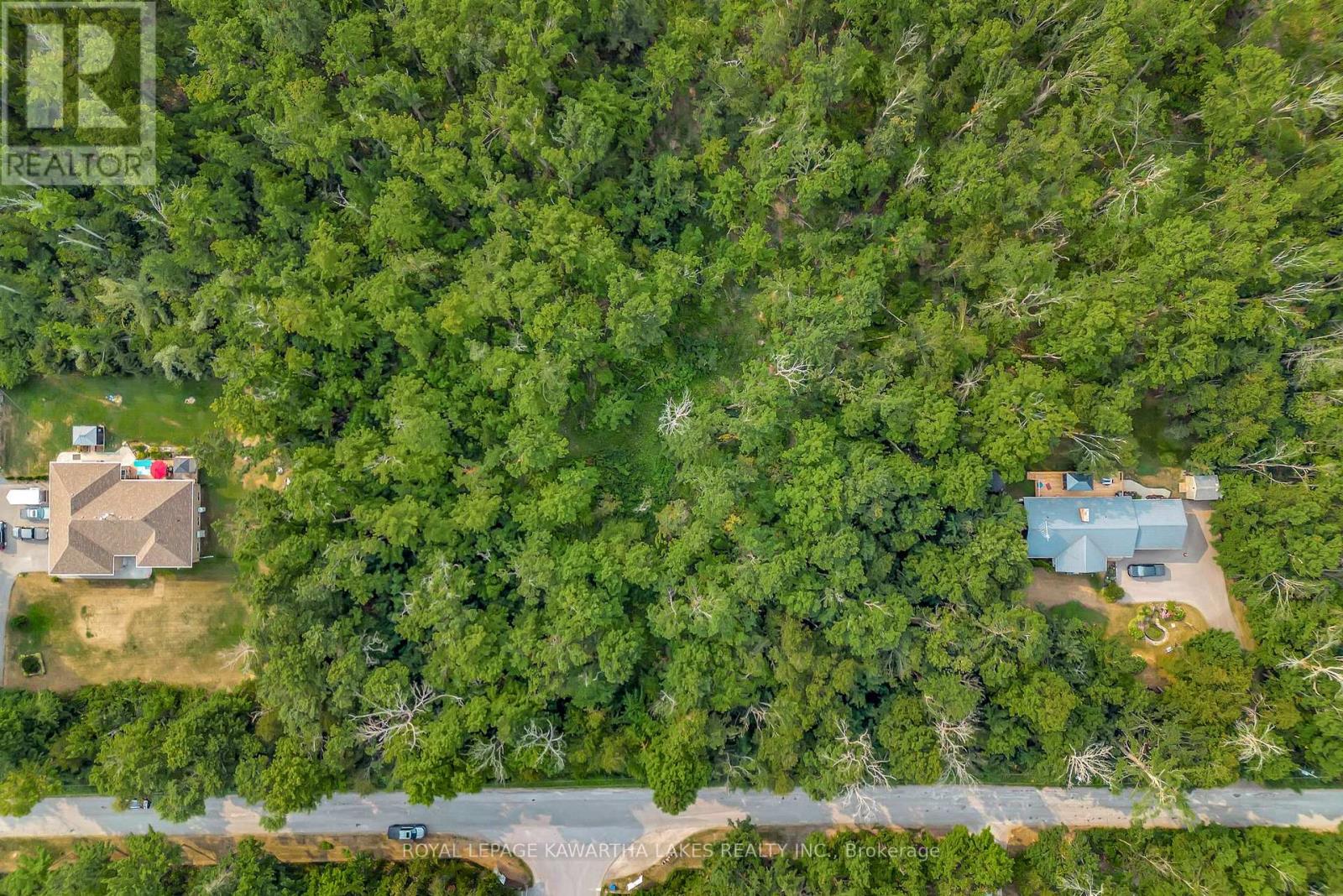 0 Cottingham Road, Kawartha Lakes, Ontario  K0L 2W0 - Photo 9 - X12339058