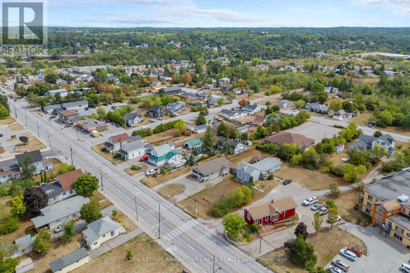 95 Lindsay Street, Kawartha Lakes, Ontario  K0M 1N0 - Photo 41 - X12344930