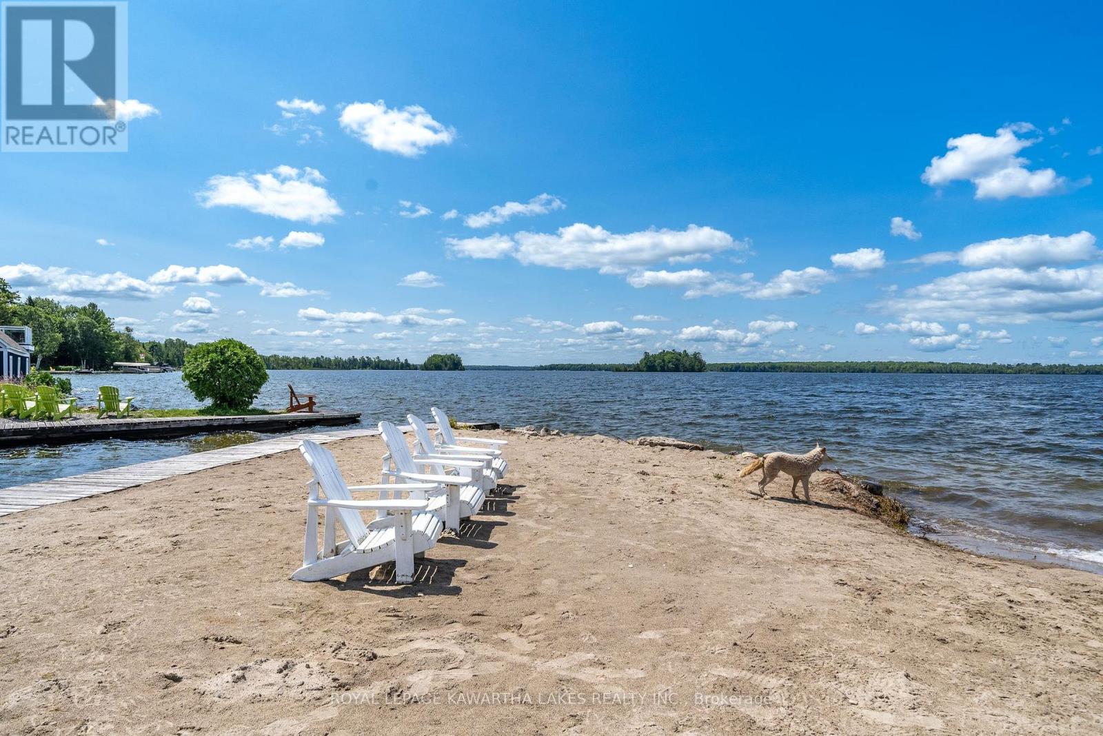 79 Rosedale Trail, Kawartha Lakes, Ontario  K0M 1N0 - Photo 38 - X12356354