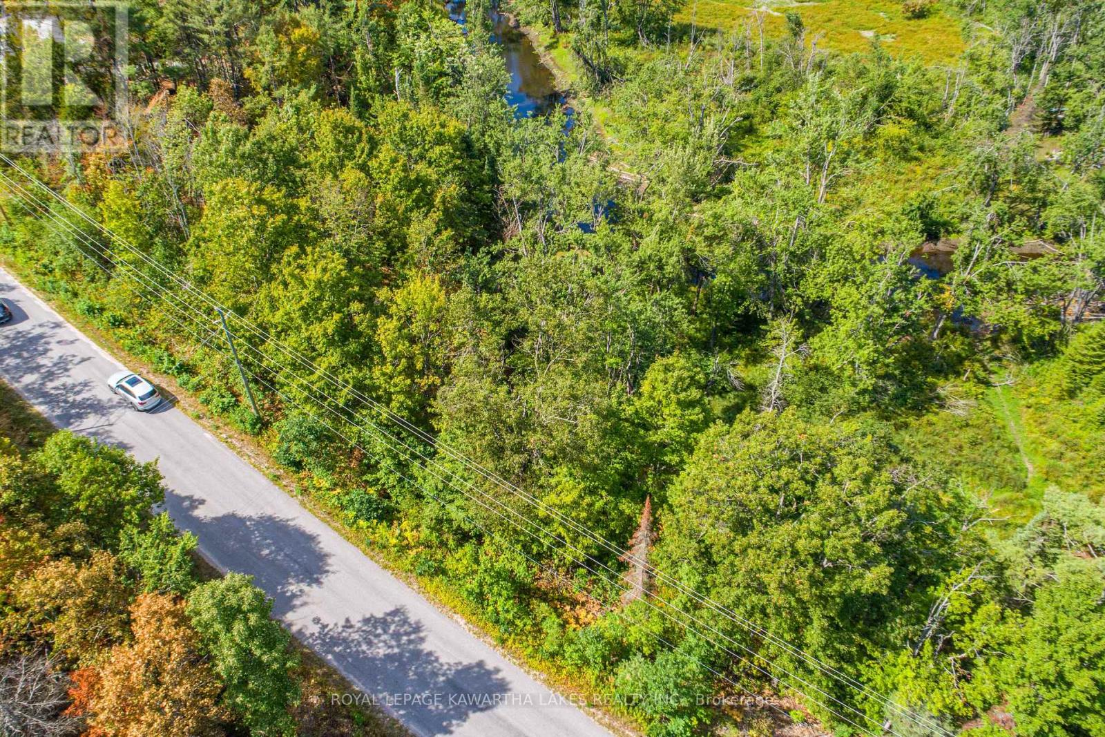 Pt Lot 36 Edwina Drive, Trent Lakes, Ontario  K0M 1A0 - Photo 10 - X12356493