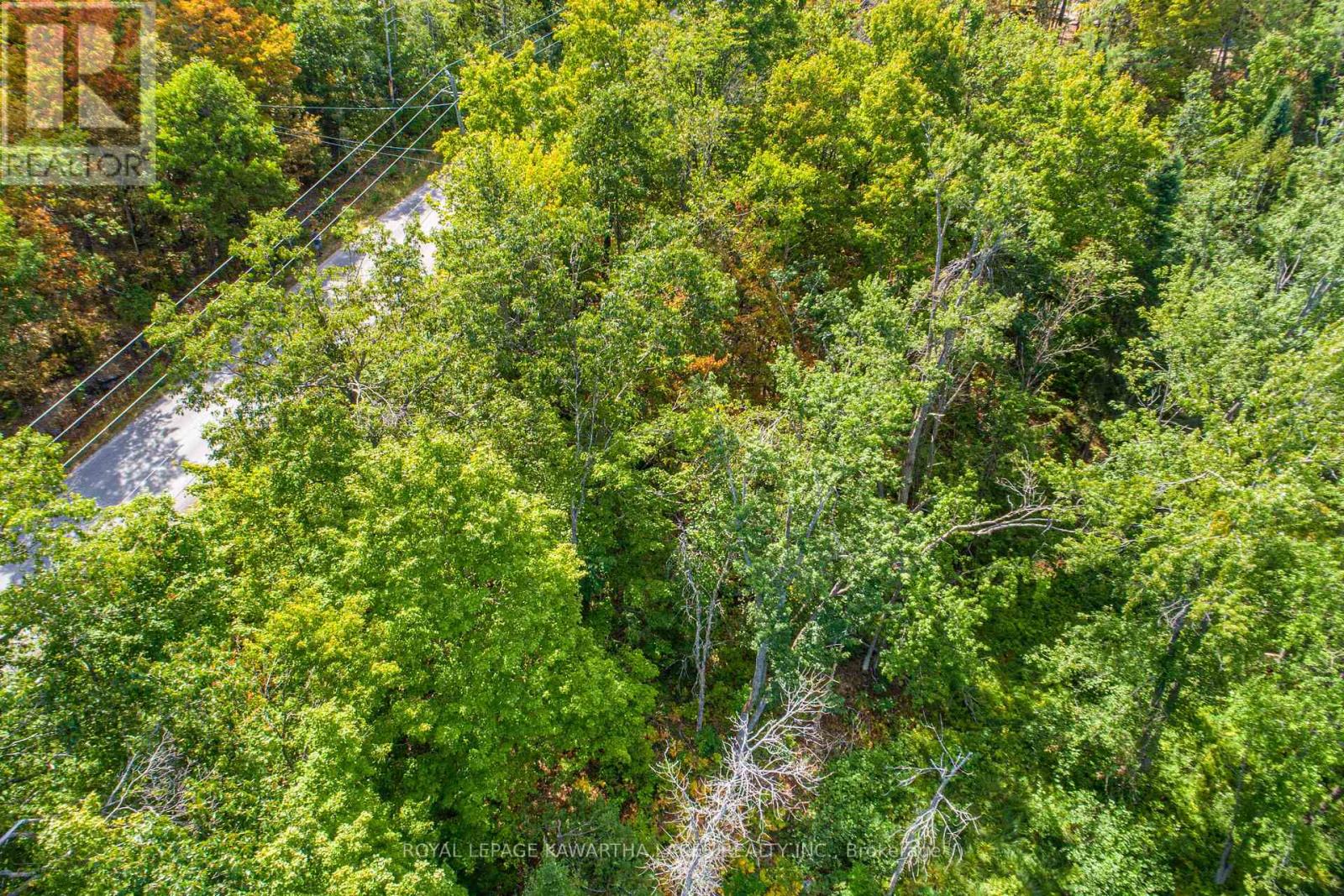 Pt Lot 36 Edwina Drive, Trent Lakes, Ontario  K0M 1A0 - Photo 11 - X12356493