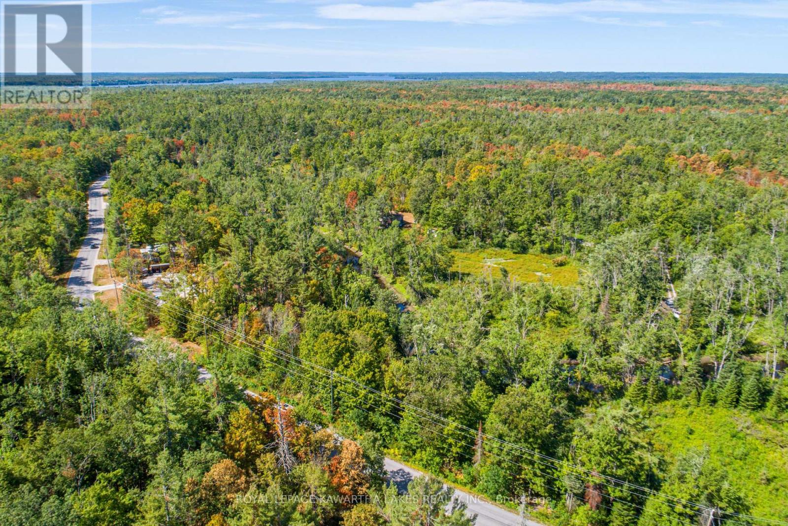 Pt Lot 36 Edwina Drive, Trent Lakes, Ontario  K0M 1A0 - Photo 13 - X12356493
