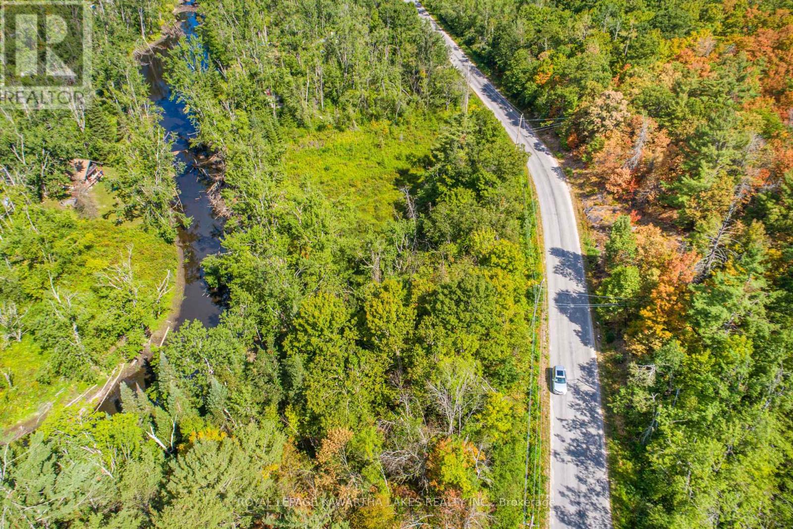 Pt Lot 36 Edwina Drive, Trent Lakes, Ontario  K0M 1A0 - Photo 16 - X12356493