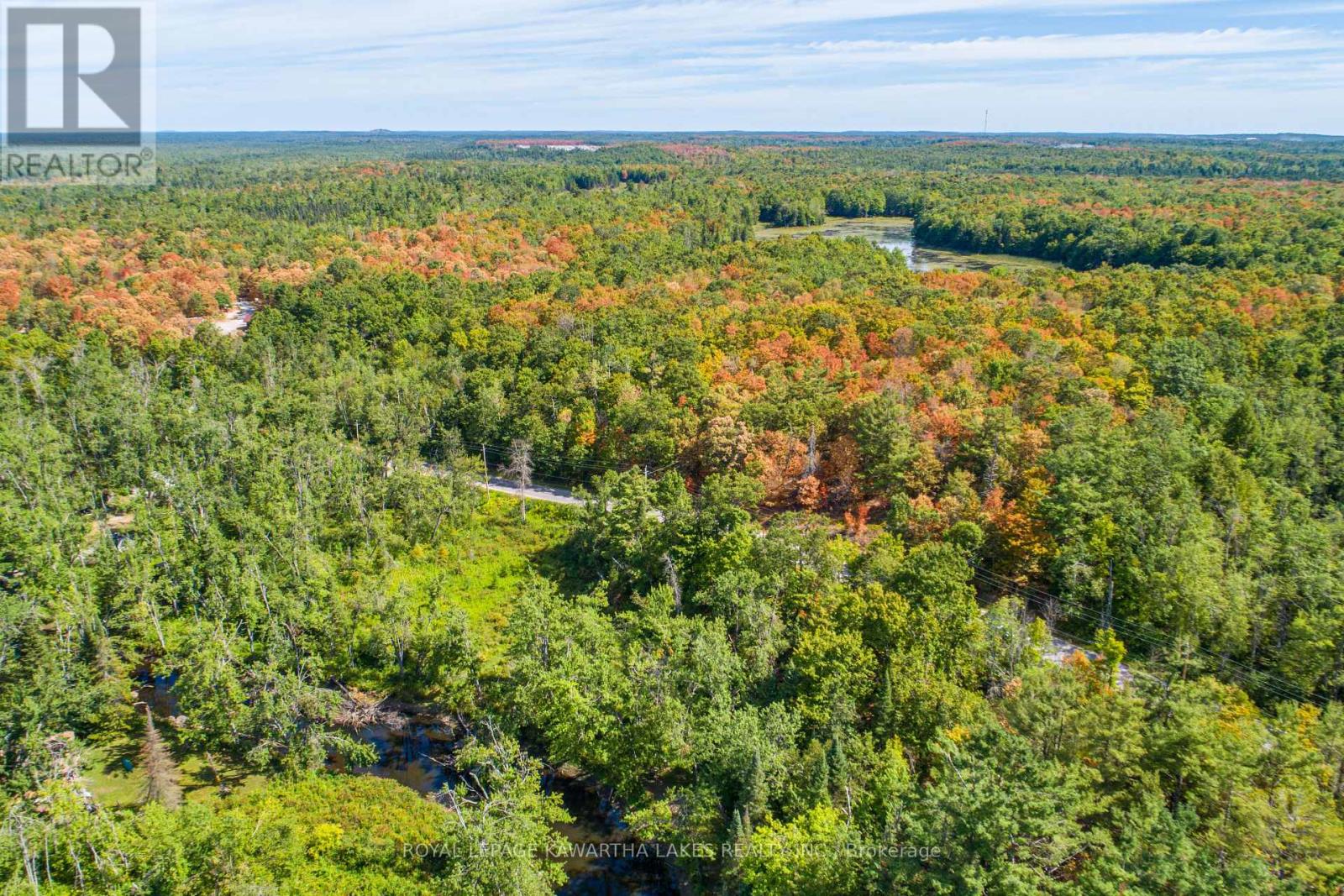 Pt Lot 36 Edwina Drive, Trent Lakes, Ontario  K0M 1A0 - Photo 17 - X12356493