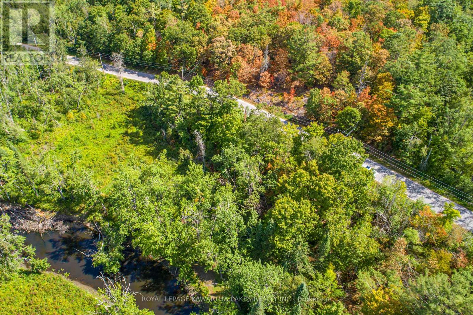 Pt Lot 36 Edwina Drive, Trent Lakes, Ontario  K0M 1A0 - Photo 18 - X12356493